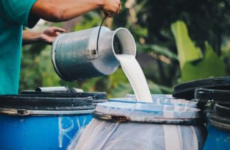 New Mexico Newborn Dies After Mother Drank Raw Milk, Prompting Fresh Warnings